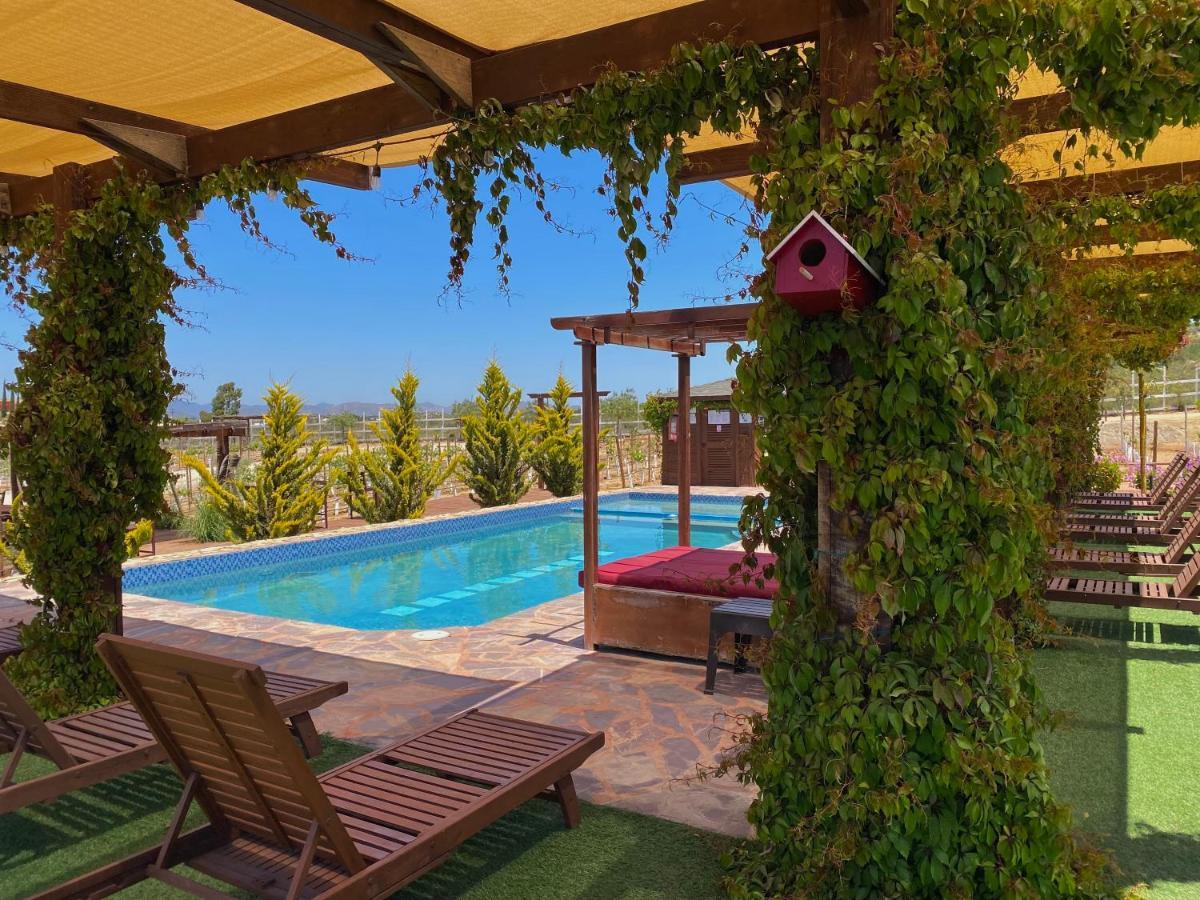 Entrevalle Hotel Boutique 장크트 고아르스하우젠 외부 사진