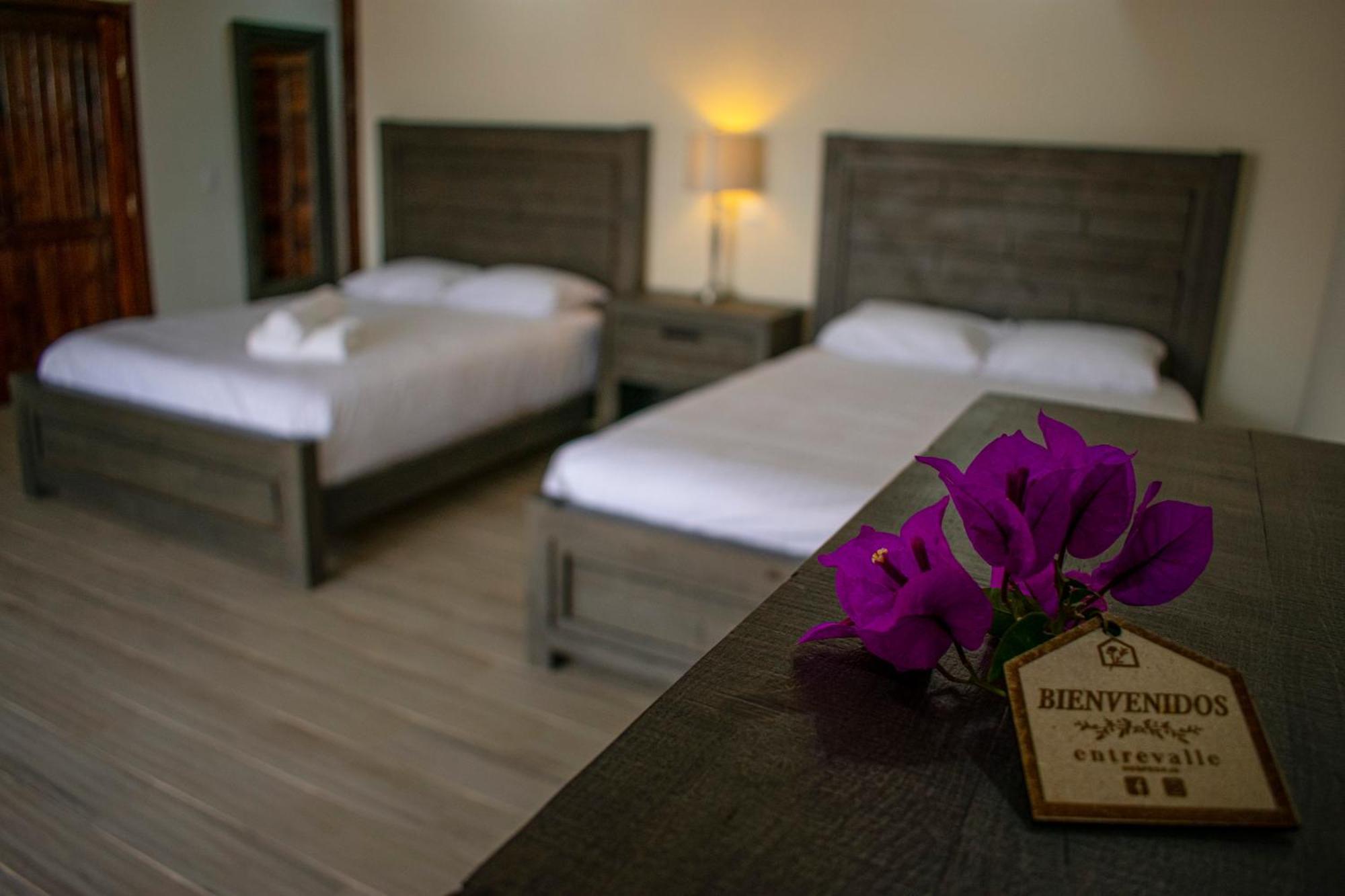 Entrevalle Hotel Boutique 장크트 고아르스하우젠 객실 사진